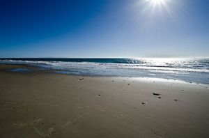 Refugio State Beach