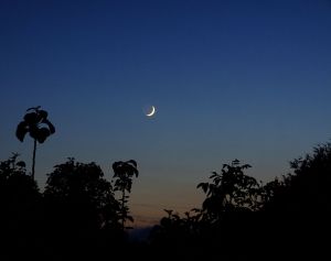 crescent moon