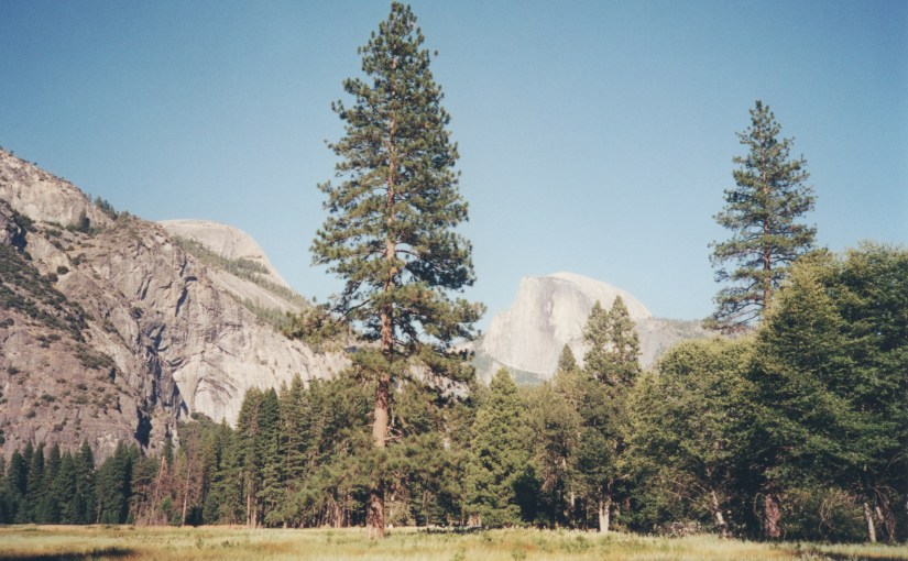 Beholding Your Sanctuary