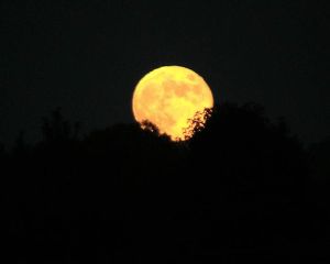 full moon