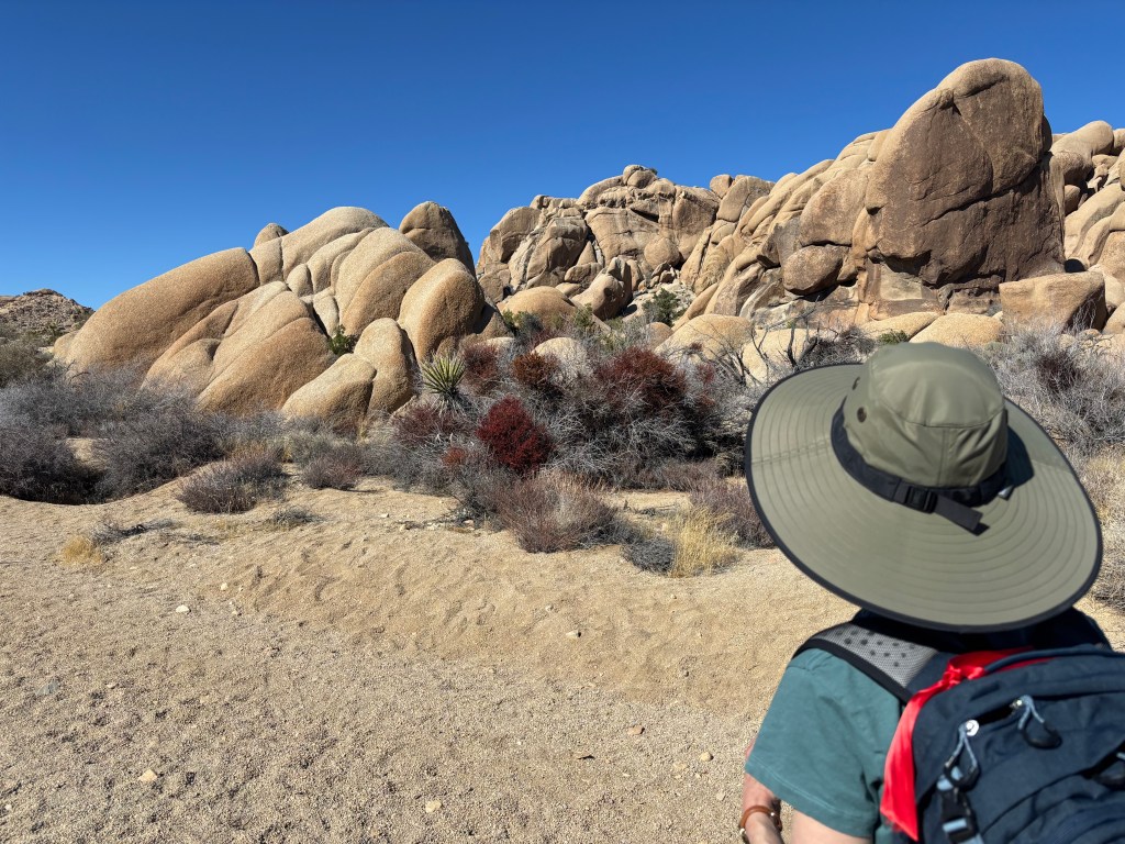 Author looking at rocks in the desert