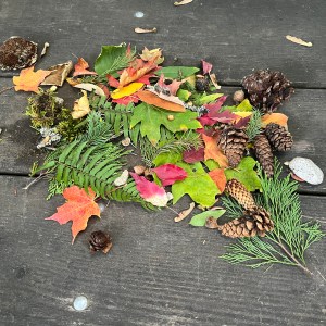 spray of ferns, autumn leaves, evergreen sprigs, and pine cones